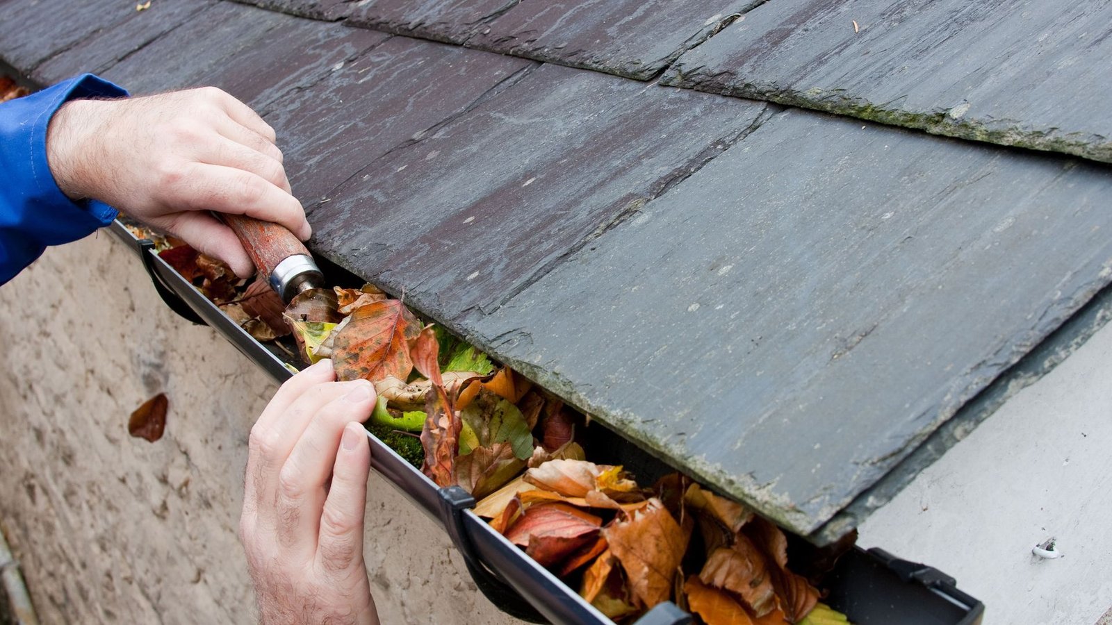 gutter cleaning in norco