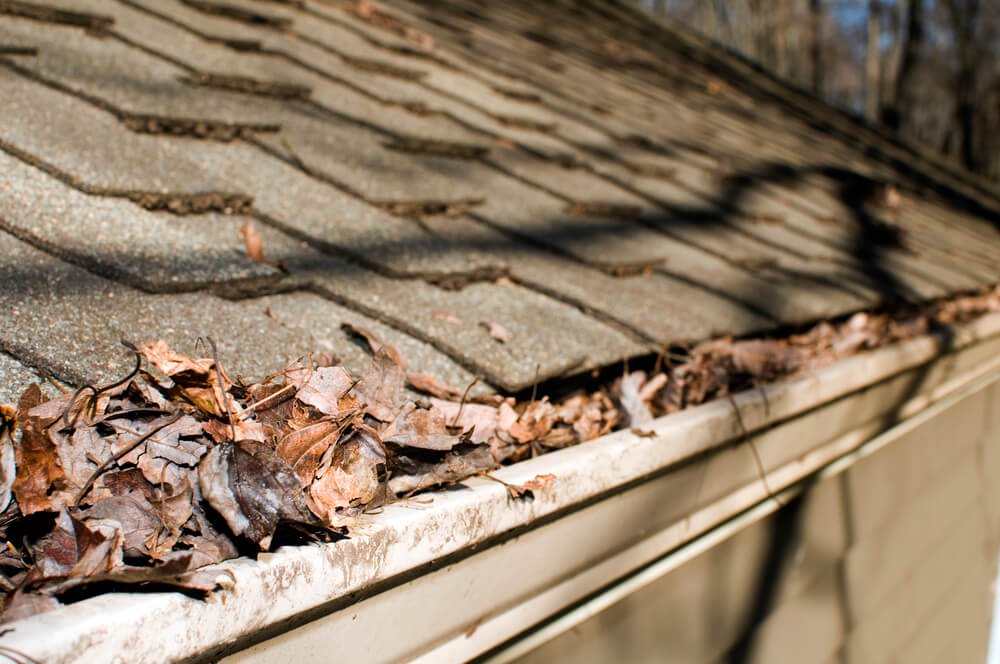 What happens if you never clean your gutters?